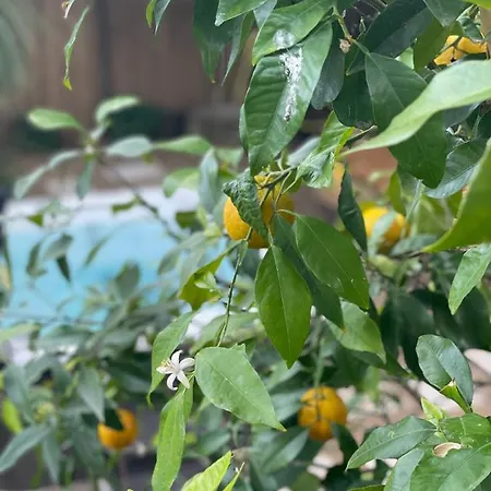 Maison Dans Les Arbres, Spa, Tennis, Parking * Nimes